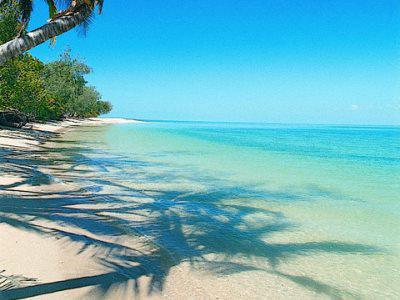 Bedarra Island Hotel Great Barrier Reef Exterior photo